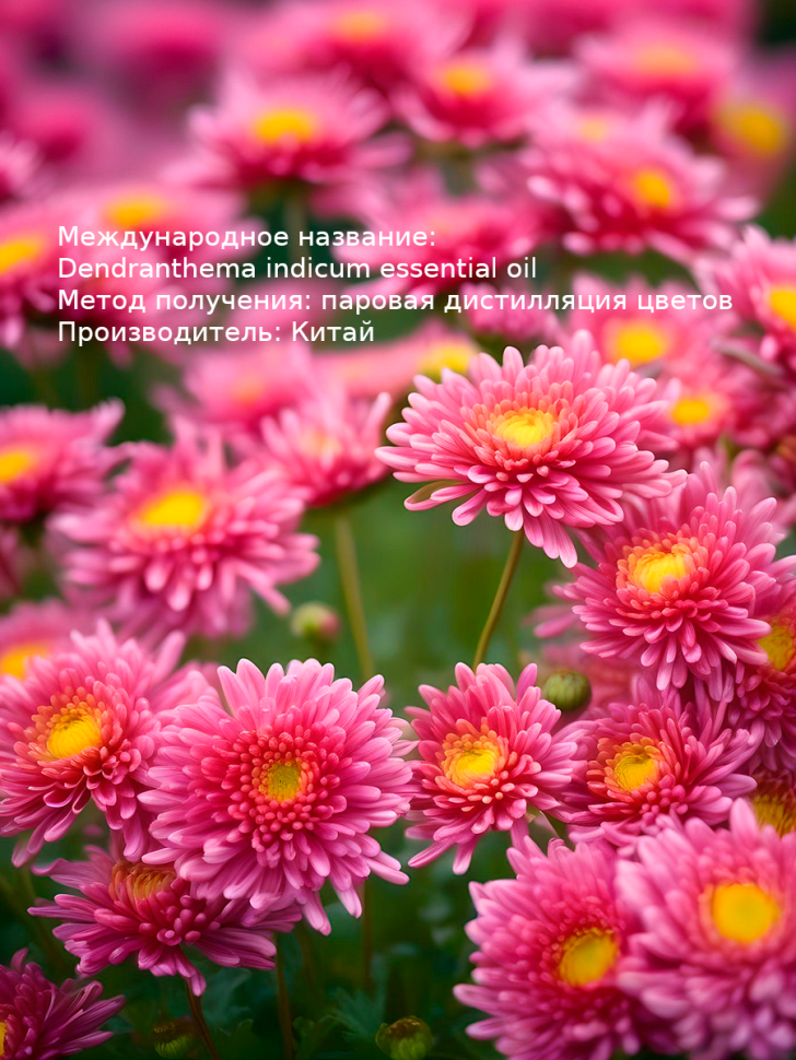 Эфирное масло Хризантема 5 мл