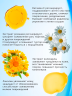 Бальзам защитный Мороз и ветер