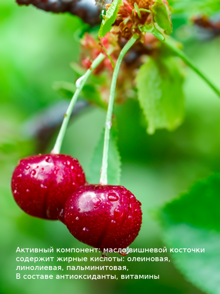 Масло для лица увлажняющее Вишня 30 мл